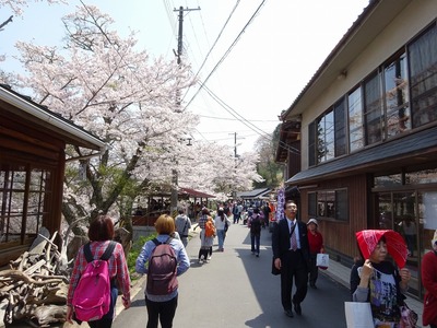 吉野山千本桜の旅