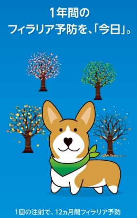 お知らせ画像