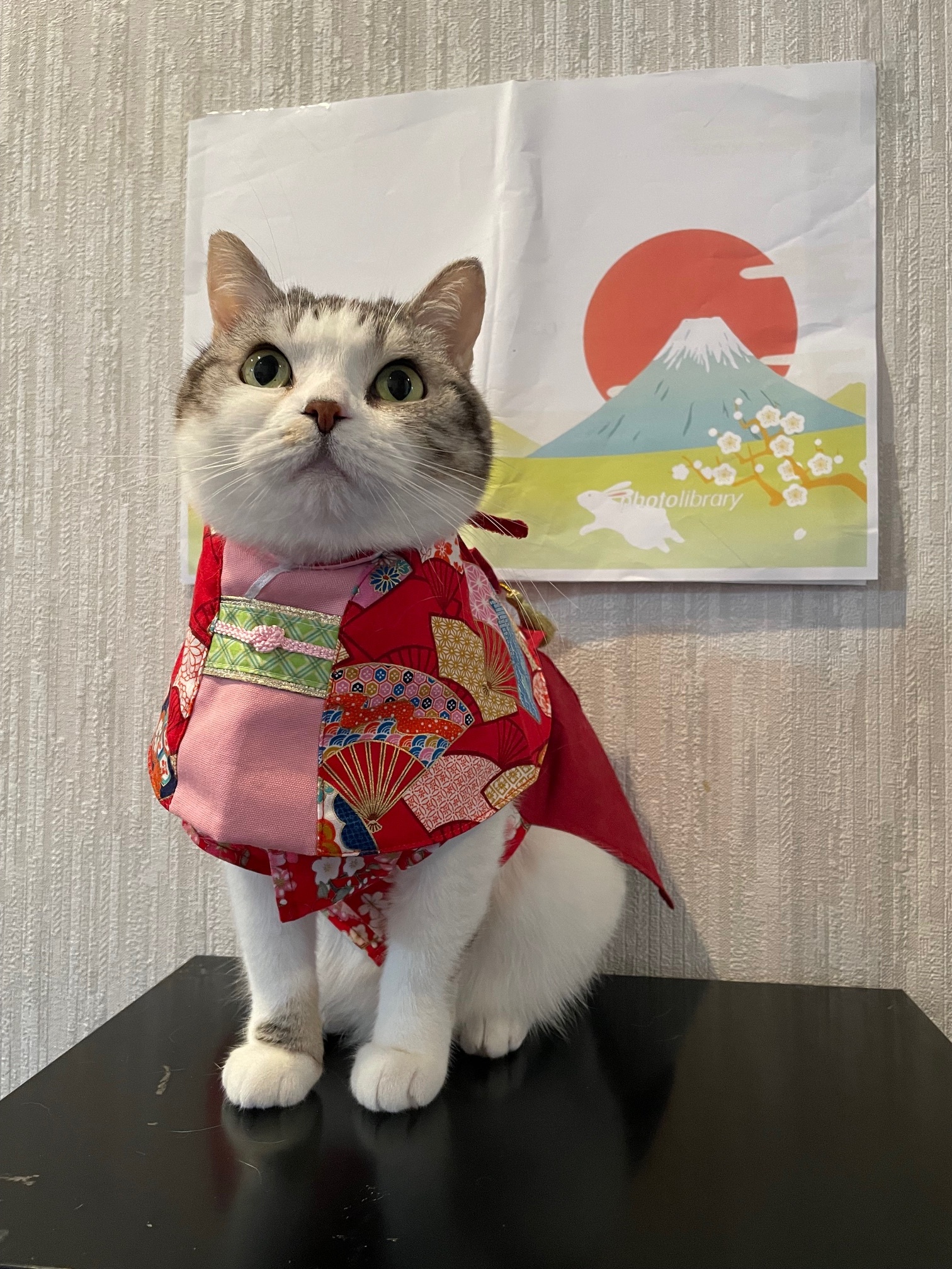 今年もよろしくお願いします。